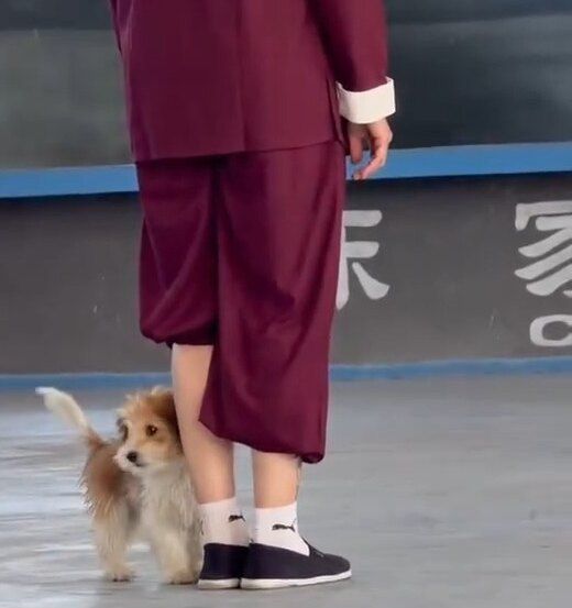 Aang Willians de uniforme vinho, visto de costas, no último dia de treino na Chen Bing Taiji Academy, em Chenjiagou. Um cachorro está encostado na perna dele. 2026, do Instagram dele.