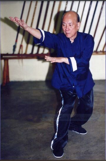 Chan Kowk Wai em postura, de uniforme azul.